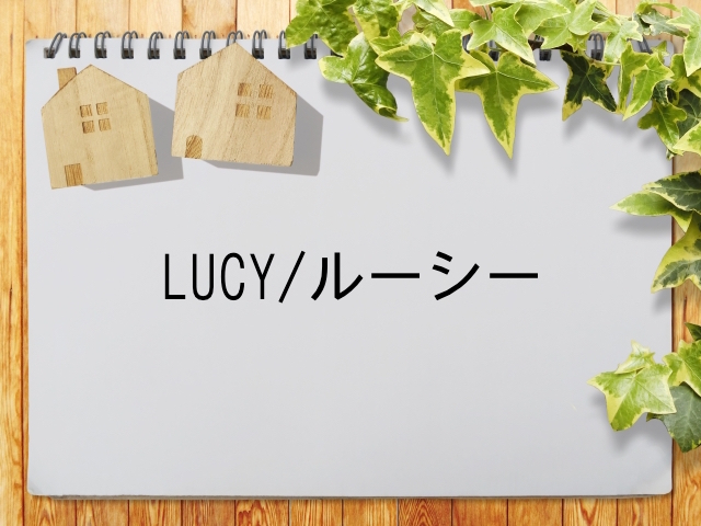 Lucy ルーシー が見られる動画配信サービス一覧 動画配信情報局