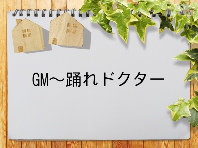 Gm 踊れドクター が見られる動画配信サービス一覧 動画配信情報局