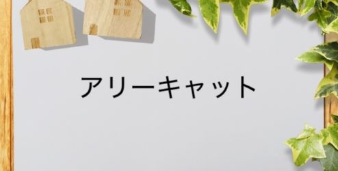 動画配信情報局 ネットで映画を楽しもう